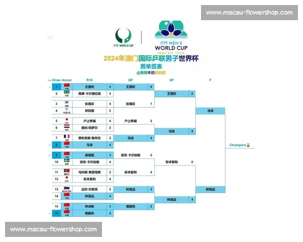 世界杯最新动态：赛程调整与热门球队晋级形势分析