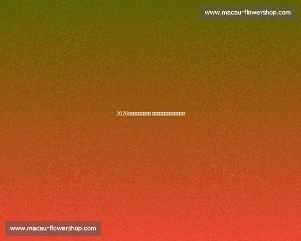 2026年世界杯赛程全解析 热门球队比赛时间与数据一览 2026年世界杯赛程全解析 热门球队比赛时间与数据一览