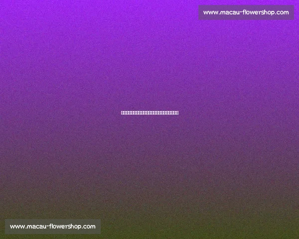 世界杯焦点：各队备战动态与新兴球员崭露头角分析