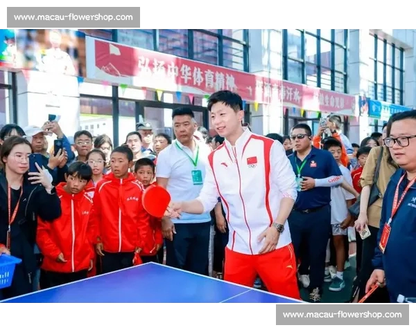 体育冠军背后的奋斗故事与荣耀历程揭秘，成就背后的努力与拼搏精神