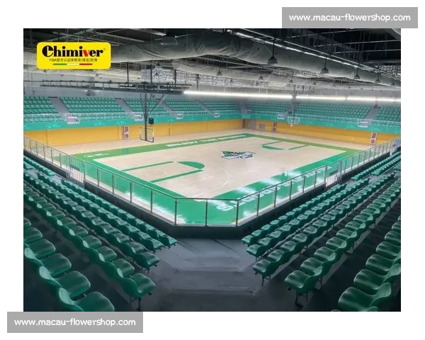 全面升级你的运动体验高性能体育装备助力各类运动表现提升