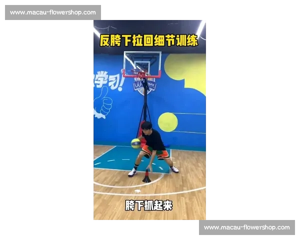 全面提升篮球技术的科学训练方法与实战技巧指导